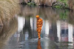 Antony Gormley, STAY 2015, Otakaro-Avon River; photo by Bridgit Anderson