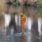 Antony Gormley, STAY 2015, Otakaro-Avon River; photo by Bridgit Anderson