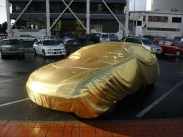 Ines Tartler (GER), "Auto Garage: The Golden Garage Service" May 2009, Auckland; photo by Rob Garrett