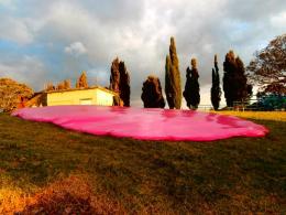 Charlotte Parallel, Inertia Fig 1.a, 2012, NZ Sculpture OnShore 2012; photo by Jude Gibson