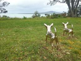 Day 3 installing NZ Sculpture OnShore at Fort Takapuna. Two adorable chihuahua by Irena Kennedy ready for action...