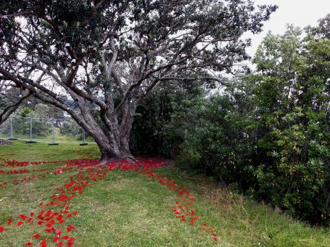 Donna Turtle Sarten, Black and White and Red All Over, 2012, NZ Sculpture OnShore 2012; photo by Rob Garrett