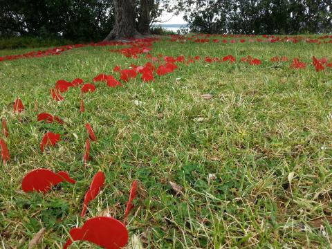 Donna Turtle Sarten, Black and White and Red All Over, 2012, NZ Sculpture OnShore 2012; photo by Rob Garrett