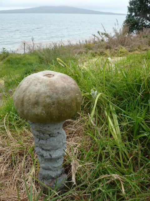 Gaby Julio Montejo, NZ Sculpture OnShore exhibition 2008, photo by Rob Garrett