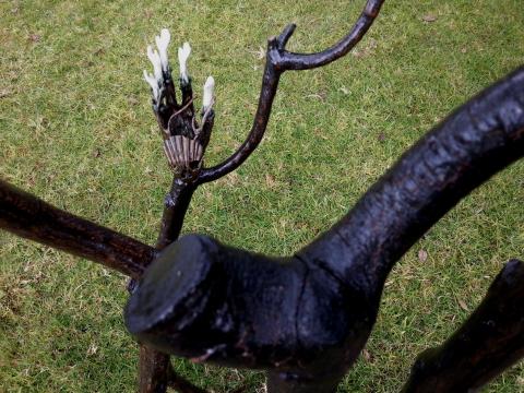 Helen Holmes, Hand Stand (detail) 2012, NZ Sculpture OnShore 2012; photo by Rob Garrett