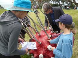 Jamie Pickernell, NZ Sculpture OnShore exhibition 2008, photo by Rob Garrett