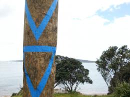 Laura Marsh, Locator 2012, NZ Sculpture OnShore exhibition 2012; photo by Rob Garrett