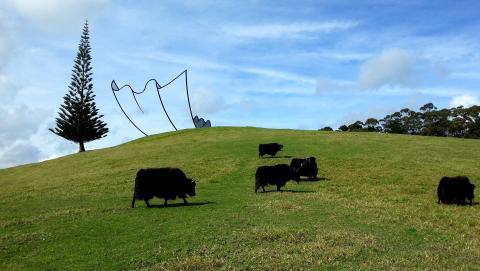 Neil Dawson, Horizons 1994, Gibbs Farm; photo by Rob Garrett