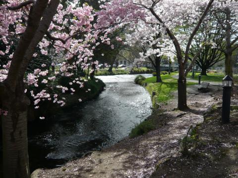 Christchurch, the “Garden City,” photo by Rob Garrett