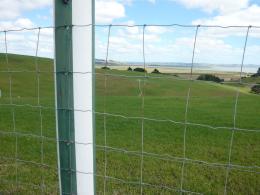 Daniel Buren, Green and White Fence 1999-2001, Gibbs Farm, photo by Rob Garrett