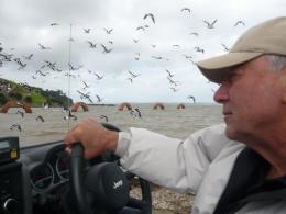 Alan Gibbs (2009), Gibbs Farm, photo by Rob Garrett