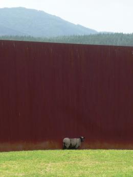 Richard Serra, Te Tuhirangi Contour 1999-2001, Gibbs Farm, photo by Rob Garrett