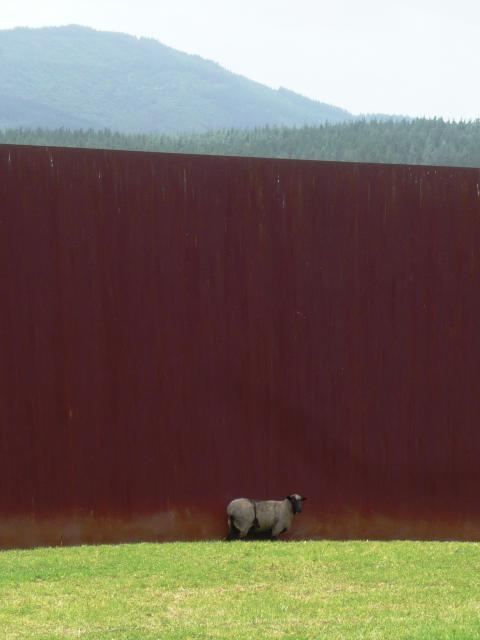 Richard Serra, Te Tuhirangi Contour 1999-2001, Gibbs Farm, photo by Rob Garrett