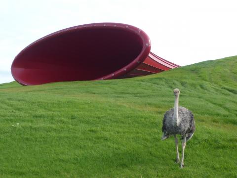 Anish Kapoor, Dismemberment Site I, 2009, Gibbs Farm, photo by Rob Garrett