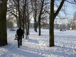 Park and mound (Juliette Laird site); photo by Rob Garrett