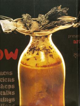 Richard Crow, Artists at Work residency and national tour poster (detail), 1999