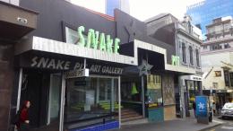 Snake Pit, 33 High Street, Auckland; photo by Rob Garrett