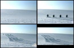 Where Dogs Run, Дорога (The Road), video stills; images courtesy of Where Dogs Run